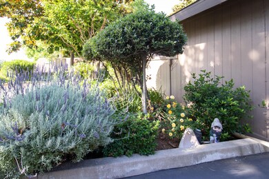 Front Landscape