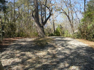 126 Pinckney Rd, Santee, SC 29142 - photo 6