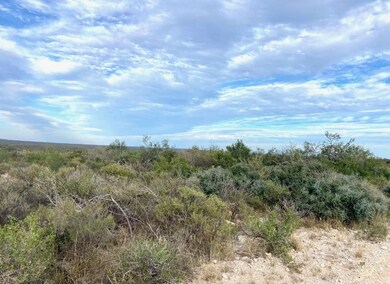 RR 1865 unit RR 1865 (Pumpville), Comstock, TX 78837 - photo 3