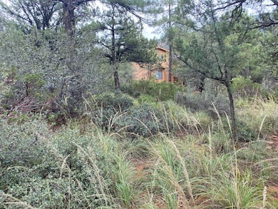 186 N Trails End Dr, Pine, AZ 85544 - photo 2