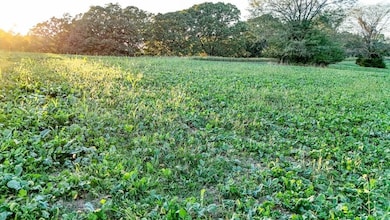 3547 Hwy Jj, Moberly, MO 65270 - photo 5