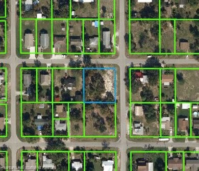 226 E Phoenix St, Lake Placid, FL 33852 - photo 4