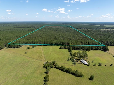 0 Beehive Loop, Singer, LA - photo 3