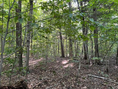 IMG_0725