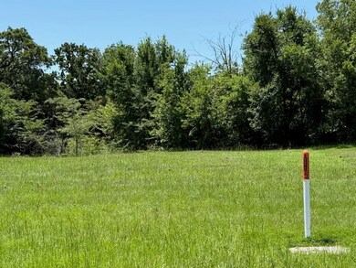 52 Coyote Creek Dr, Gordonville, TX 76245 - photo 5