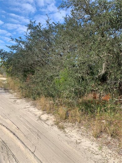 0 Brandywine Trail unit P4913691, Frostproof, FL 33843 - photo 7