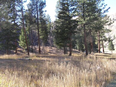 00 SE Whiskey Gulch Rd, Darby, MT 59829 - photo 6