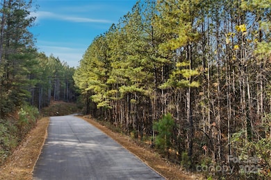 161 W Settings Blvd NW, Valdese, NC 28655 - photo 3