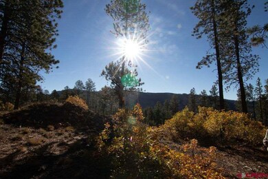 910 Red Canyon Trail, Durango, CO 81301 - photo 3