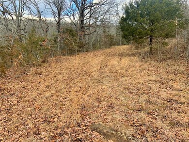 20242 Mount Olive Rd, Elkins, AR 72727 - photo 4