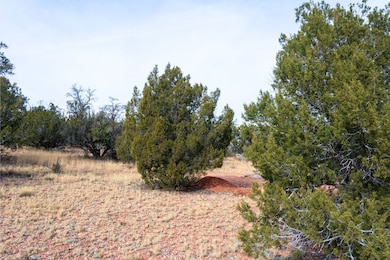 Loba Ln, Seligman, AZ 86322 - photo 6