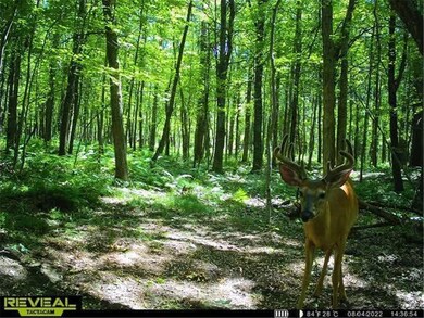 22803 Paulich Rd, Lewis, WI 54837 - photo 6