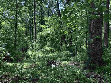 TBD Adial Rd unit 7, Faber, VA 22938 - photo 5