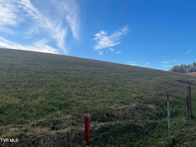 Tbd Toms Creek Rd, Coeburn, VA 24230 - photo 6