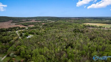 75.72 Acres Carters Gin Rd, Toney, AL 35773 - photo 6