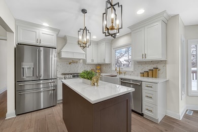 967 W Bauer Rd, Naperville, IL 60563 - photo 5