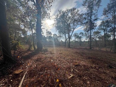 Lot 2 TBD County Road 4108, Henderson, TX 75654 - photo 6