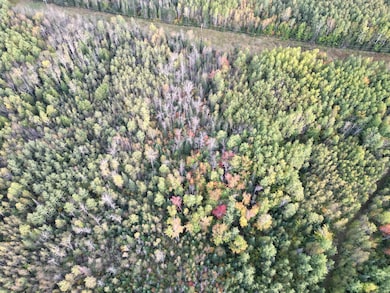 TBD U S Highway 71, Big Falls, MN 56658 - photo 5