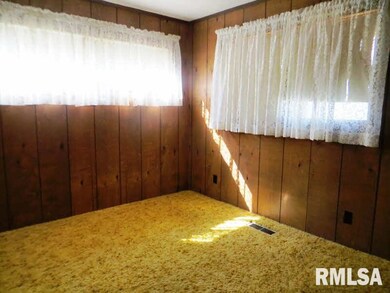 20 Gibbons Rd, Harrisburg, IL 62946 - photo 7