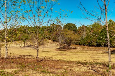 2 Rock Bridge Rd, Bethpage, TN 37022 - photo 5