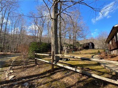 Backyard area