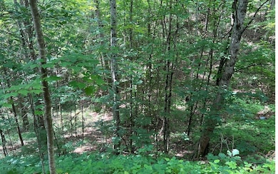 Additional View