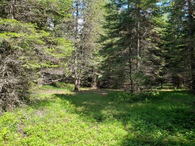 209 & 213 Sherman Ln, Bigfork, MT 59911 - photo 5