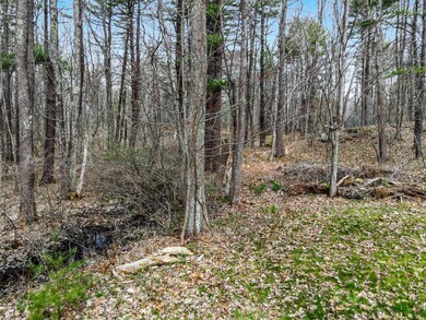 09_DJI_0927_copy_DxO_mls