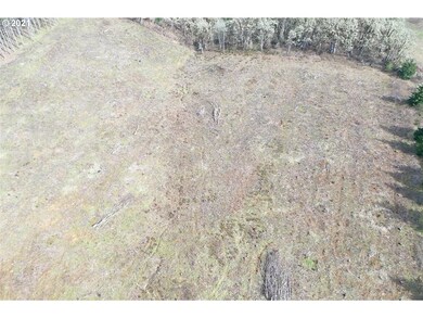 0 Red Hawk Ln unit 3 21170025, Sheridan, OR 97378 - photo 2