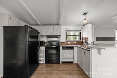 729 Don Felmet Rd, Marshall, NC 28753 - photo 5