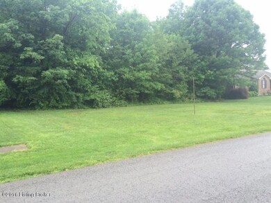 435 Newman Way, Mount Washington, KY 40047 - photo 2