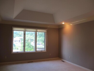 Vaulted Ceiling Master Bedroom