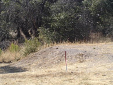 Septic Location