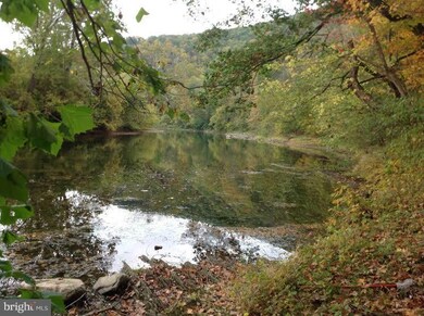 1564 Deer Rapids Rd, Strasburg, VA 22657 - photo 7