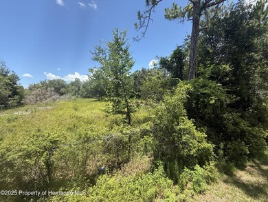 0 Goolsby St unit 2254412, Webster, FL 33597 - photo 3