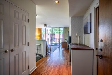 Entry foyer to #203 with a large double closet to 