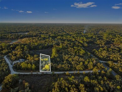 0 Riverstone St unit MFRTB8448266, Webster, FL 33597 - photo 2