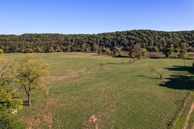 4495 County Rd 405, Alton, MO 65606 - photo 5