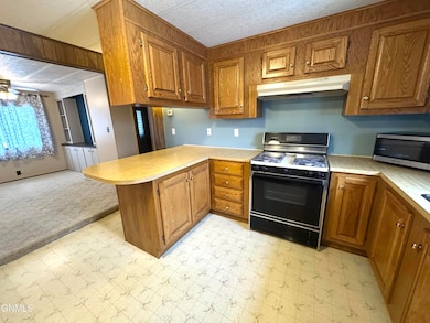 435 Piccadilly Cir, Bismarck, ND 58504 - photo 7