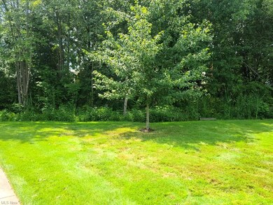 3405 Beaver Trail unit D, Aurora, OH 44202 - photo 3