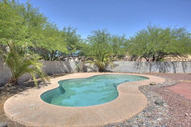 Back Yard 1