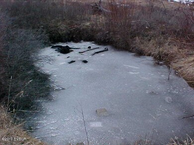 485 Dickson Creek Rd, Conner, MT 59827 - photo 3