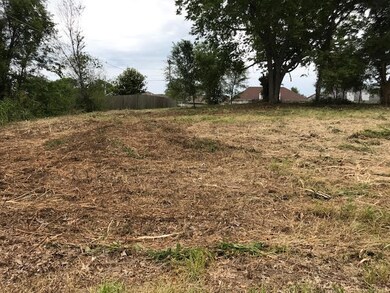 901 Butterfly Ct Lot pic