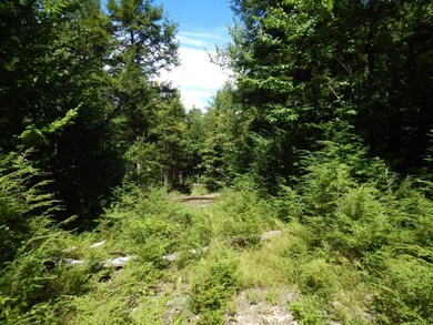 11 Valley Rd, Center Ossipee, NH 03814 - photo 5