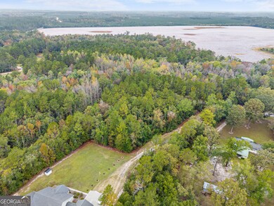 0 Clyo Shawnee Rd unit 10637729, Springfield, GA 31329 - photo 5