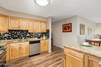 203 N Kenilworth Ave unit 2N, Oak Park, IL 60302 - photo 7