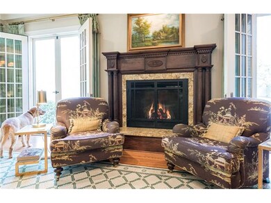 Gas fireplace in great room. Note, dog does not co