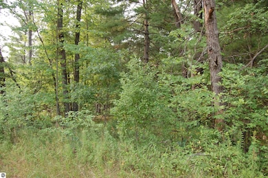 LOT 21-22 George St unit 21-22, Skidway Lake, MI 48756 - photo 2
