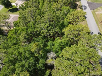 2710 W Century Blvd, Citrus Springs, FL 34434 - photo 5