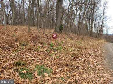 19 High Knob Rd, Old Fields, WV 26845 - photo 4